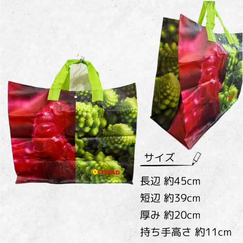 エコバッグ(CONAD)