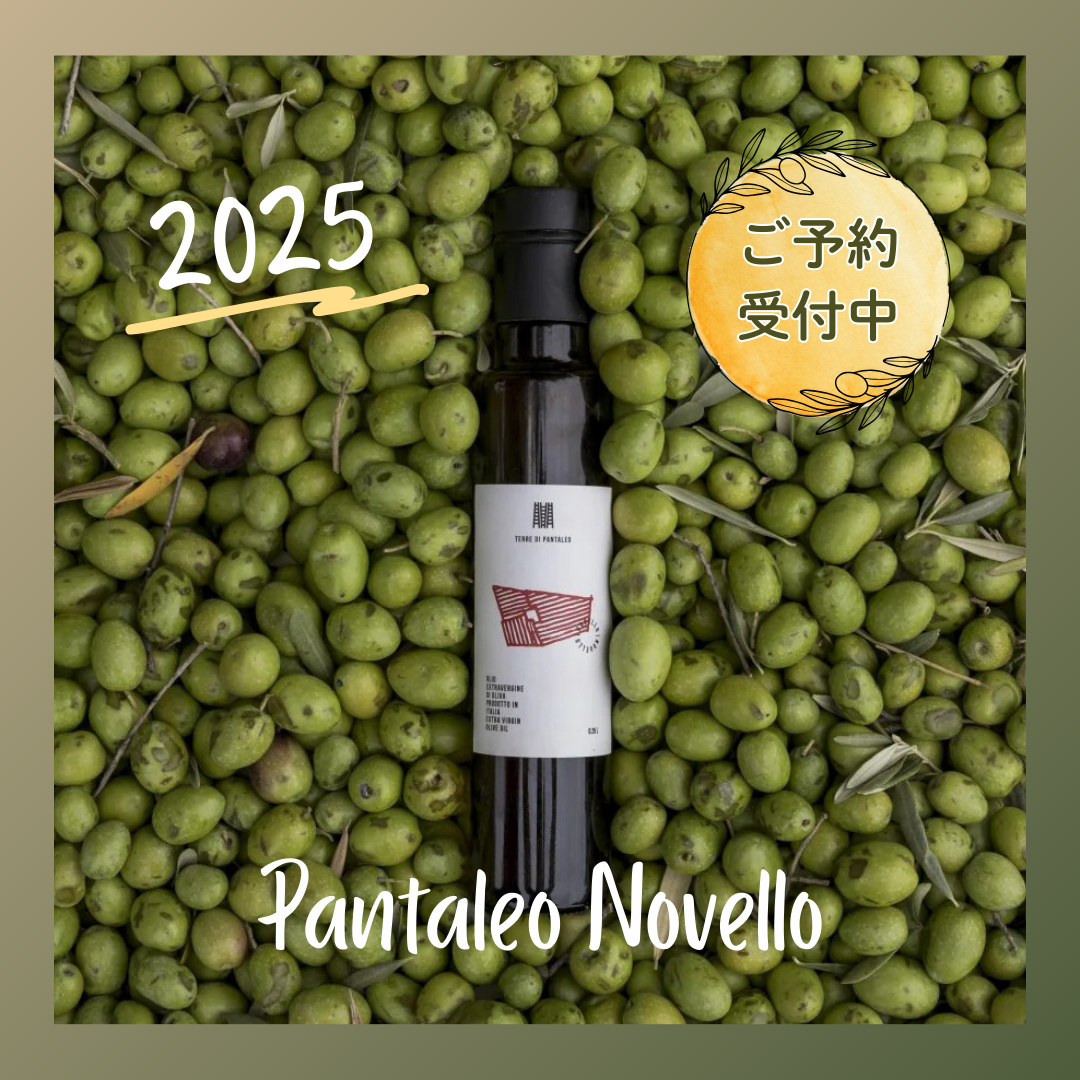 2023 New Olive Oil 250ml Pantaleo Novello