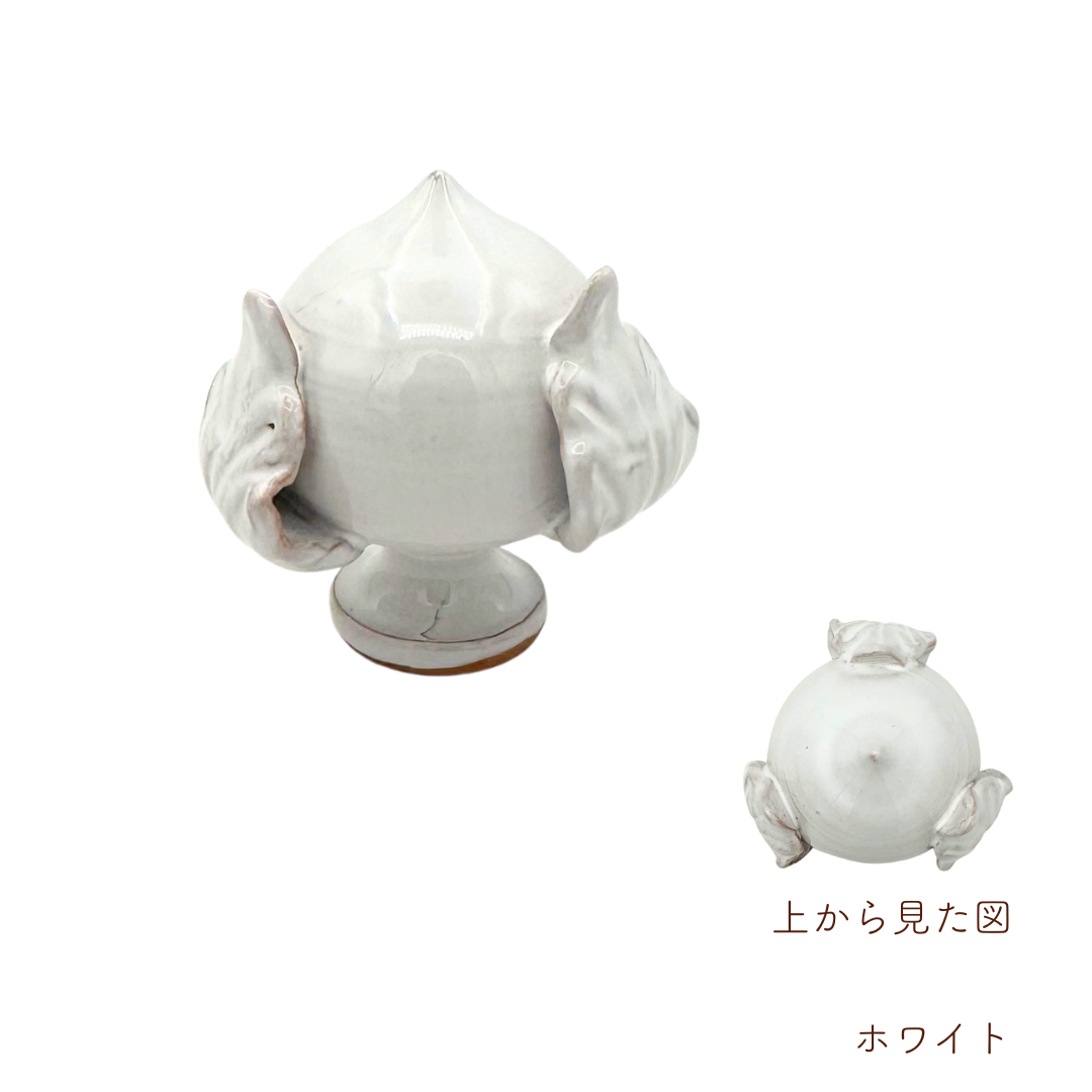 プーモ H6 (チェラミカ プパリエッドウ)