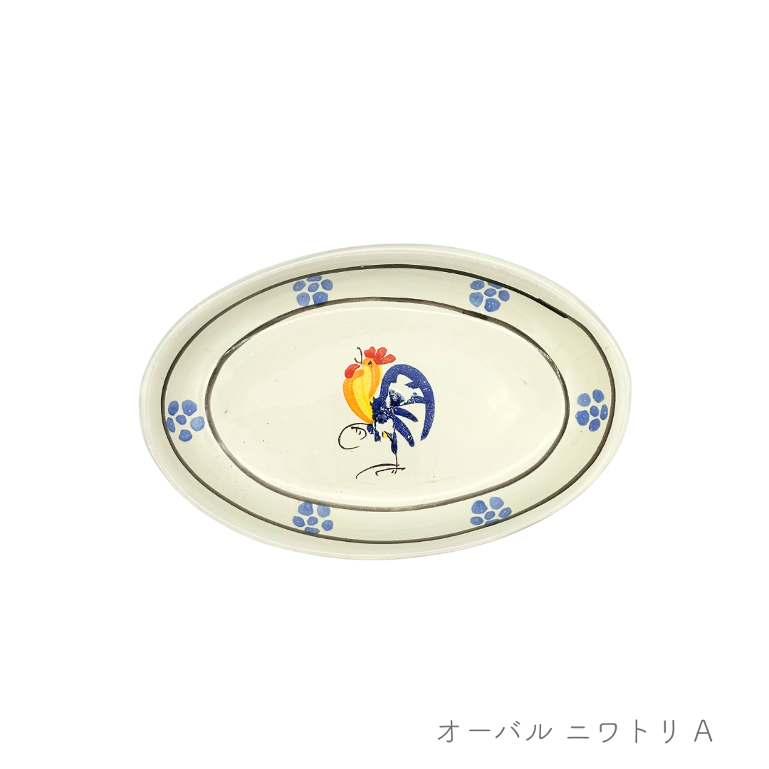 オーバル -ニワトリ-（ダニエッロ）