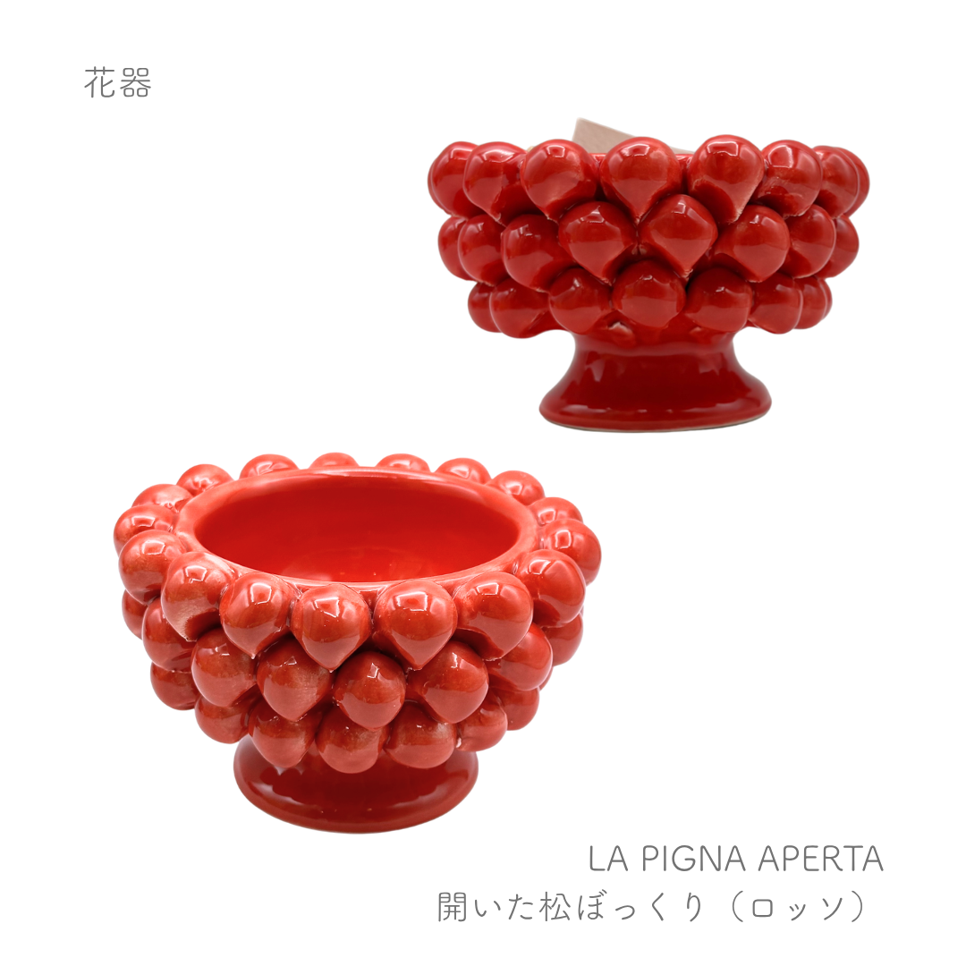 ピーニャ -開いた松ぼっくり-  （パトリツィア イタリアーノ）