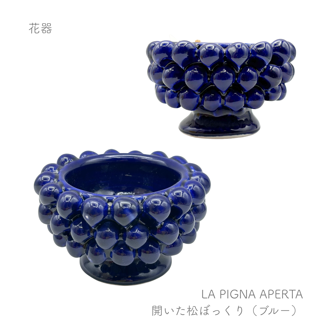 ピーニャ -開いた松ぼっくり-  （パトリツィア イタリアーノ）