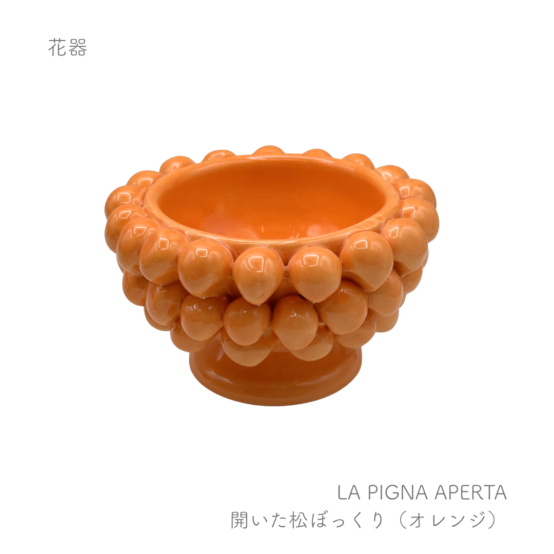 ピーニャ -開いた松ぼっくり-  （パトリツィア イタリアーノ）