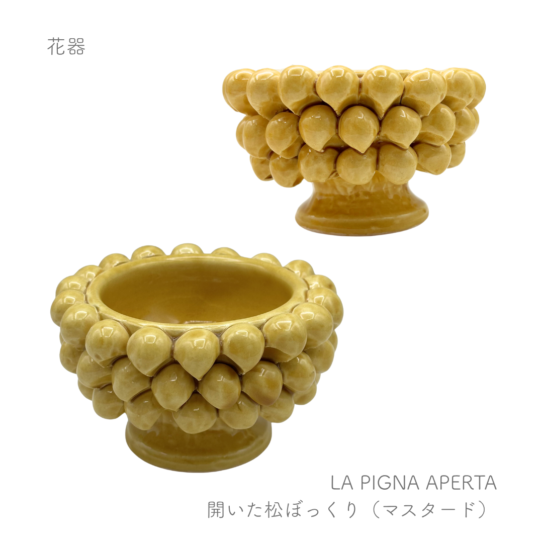 ピーニャ -開いた松ぼっくり-  （パトリツィア イタリアーノ）