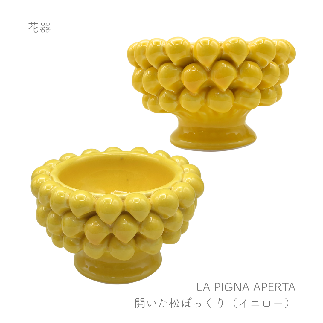 ピーニャ -開いた松ぼっくり-  （パトリツィア イタリアーノ）