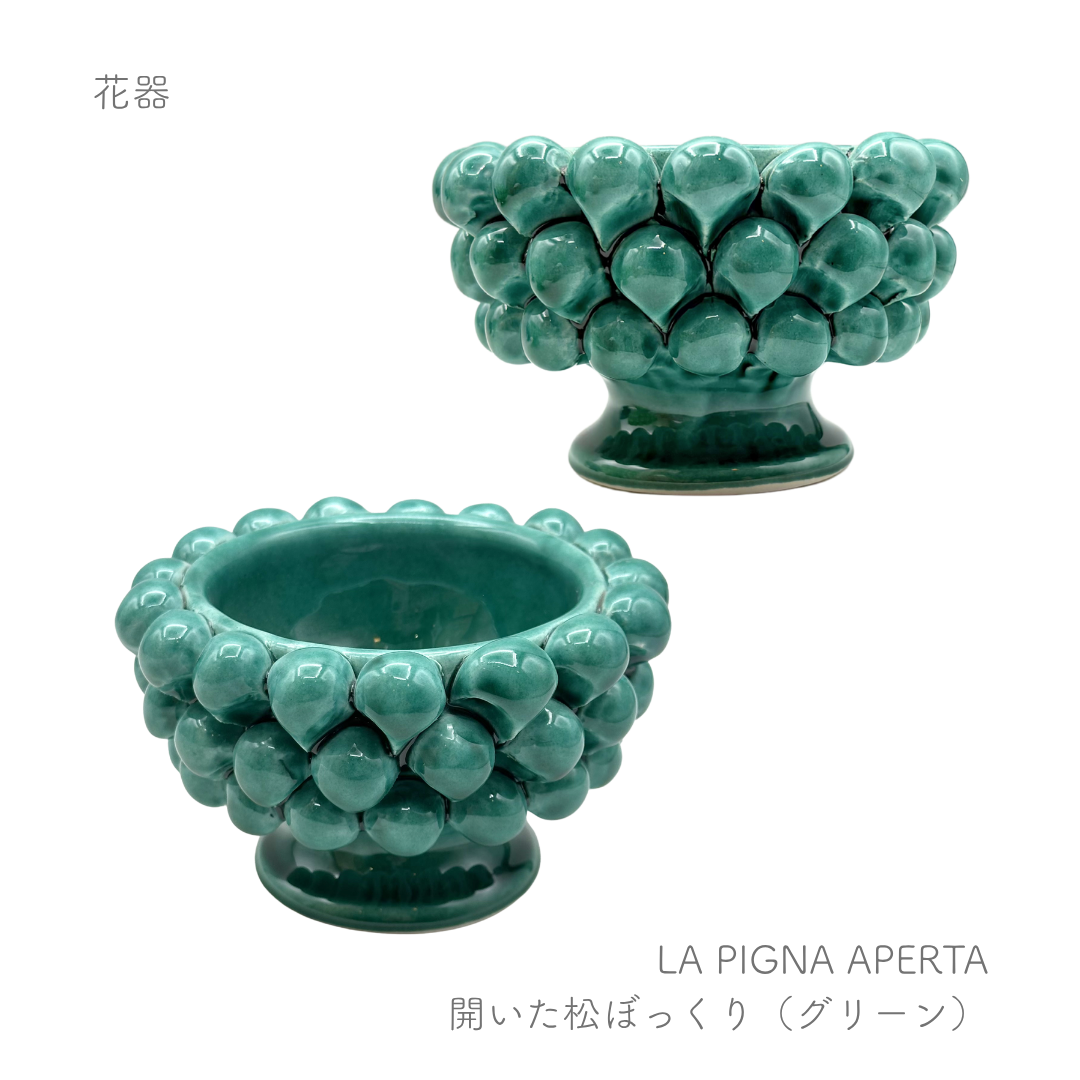 ピーニャ -開いた松ぼっくり-  （パトリツィア イタリアーノ）