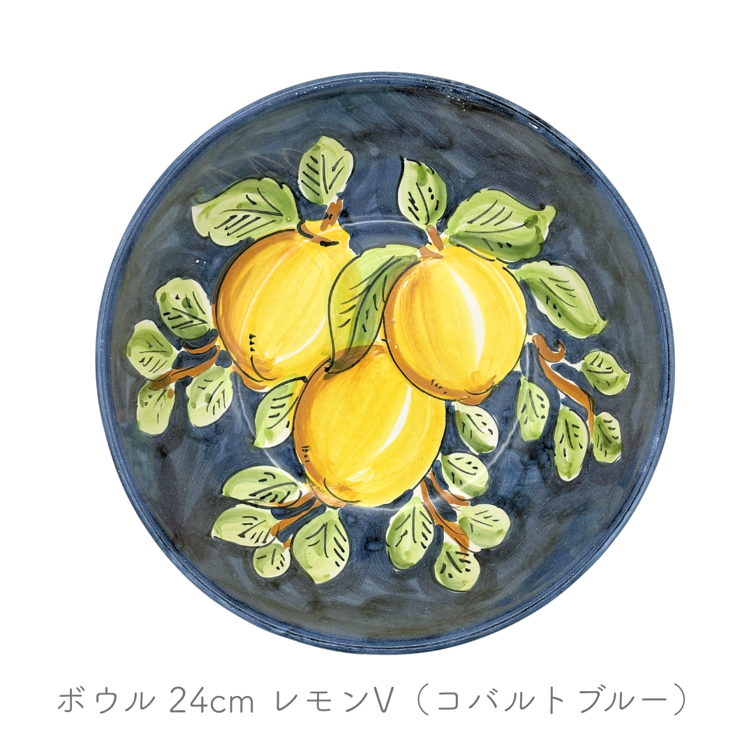 ボウル ストレート 24/26cm (ヴィエトレーゼ)