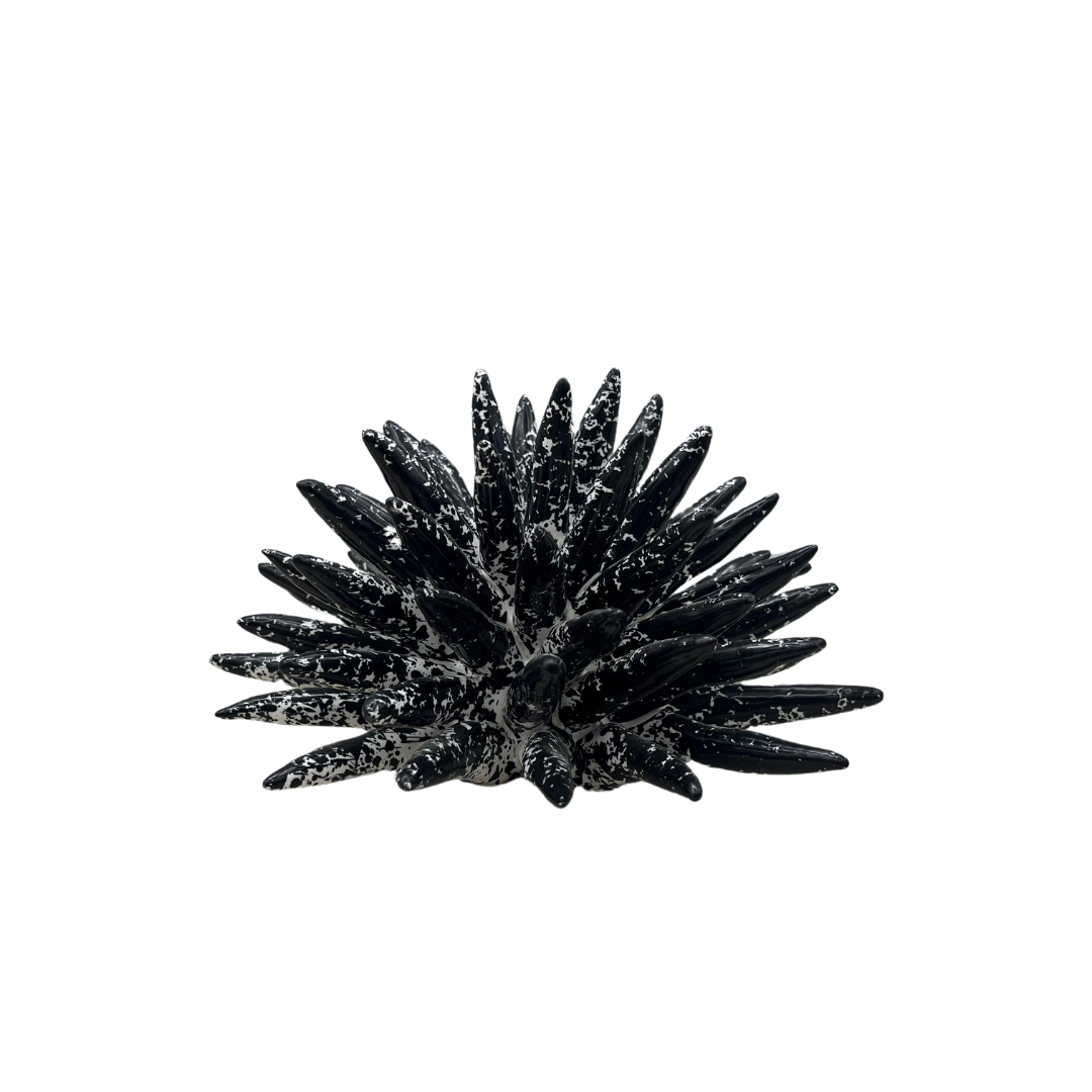 Sea urchin