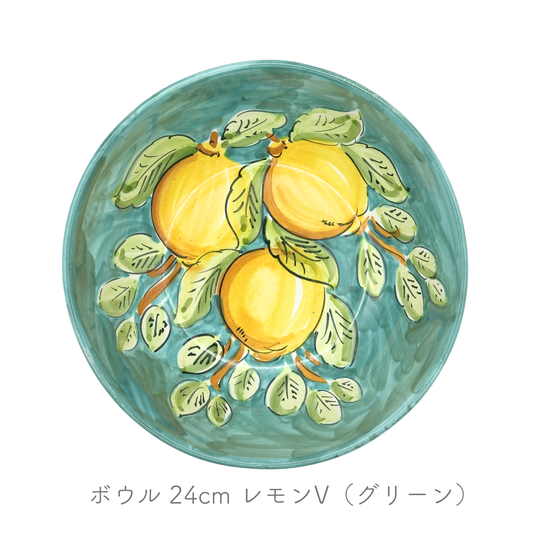 ボウル ストレート 24/26cm (ヴィエトレーゼ)