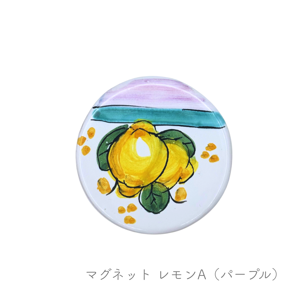 マグネット（チェラミックス）