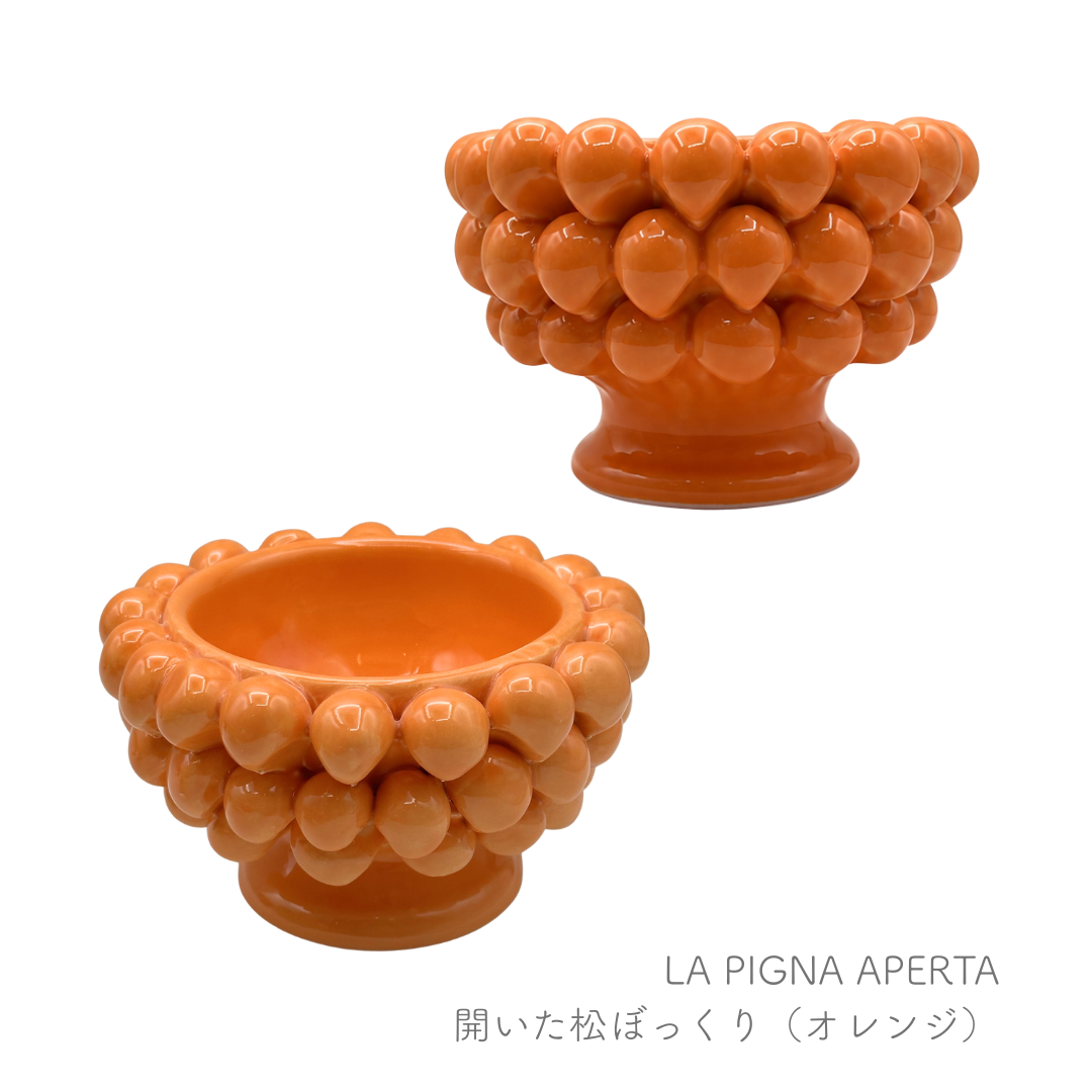 ピーニャ -開いた松ぼっくり-  （パトリツィア イタリアーノ）