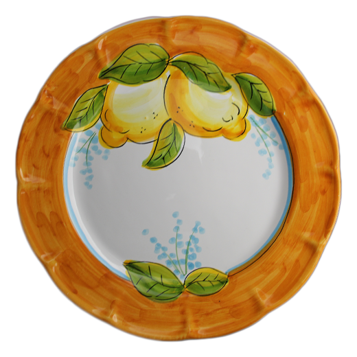 Dinner plate - plant pattern - (Cheramix)