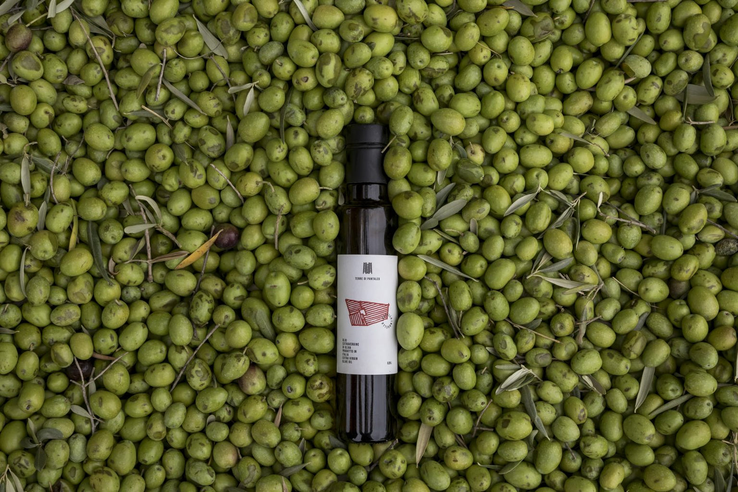 2023 New Olive Oil 250ml Pantaleo Novello